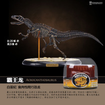 恐龙骨架模型拼装霸王龙恐龙骨骼博物馆仿真动物儿童礼物益智玩具