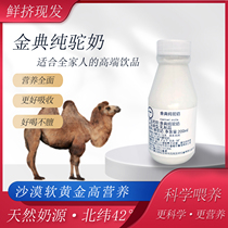 阿拉善圈养纯骆驼奶鲜奶老人儿童鲜奶非骆驼奶粉钙正宗驼奶0添加