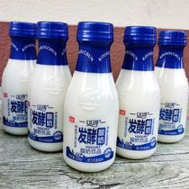 口口淳酸奶常温280毫升6瓶12瓶装乳酸菌发酵营养酸牛奶饮品