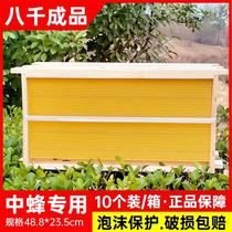 中蜂巢础巢框成品八千带框蜂巢意蜂巢脾蜜蜂巢基蜂箱专用工具养蜂