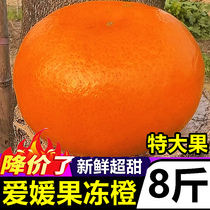 四川爱媛橙38号果冻橙10斤应当季新鲜水果整箱批发手剥橙甜大橙子