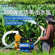 浇菜神器农用浇地灌溉抽水机12V48V220V大功率家用自动浇水机水泵
