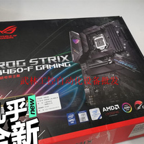 玩家国度 B460-F GAMING主板  CPU 10议价