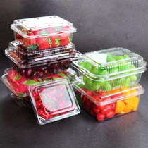 一次性水果盒包装盒加厚蓝莓草莓果蔬塑料盒子透明有盖带盖打包盒