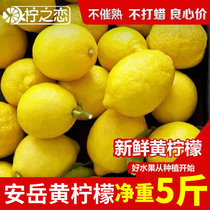 柠之恋安岳黄柠檬当季新鲜水果皮薄大果非青柠檬批发5斤包邮