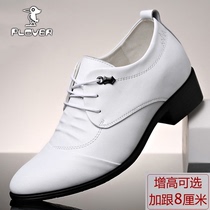 新款Plover正品尖头男士皮鞋真皮商务正装内跟休闲英伦白色跳舞鞋