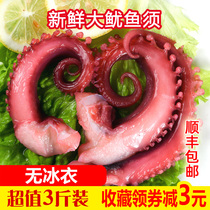 大鱿鱼须新鲜冷冻章鱼须章鱼足烧烤火锅食材海鲜水产鲜活生鲜3斤