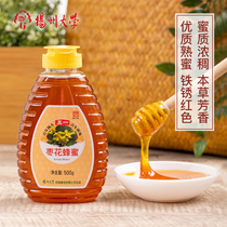 扬州大学蜂蜜农家自产枣花蜜一斤挤压瓶装原味纯正天然无添加土真