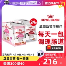 【自营】皇家主食猫湿粮包进口罐头成猫幼猫零食罐头85g*24包肉块