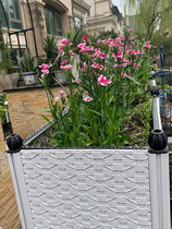 种植箱花槽阳台楼顶菜园番茄室外花箱庭院花盆花卉户外塑料种菜盆