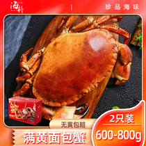 海朴面包蟹鲜活熟冻大螃蟹黄金蟹新鲜海鲜水产特母蟹珍宝蟹