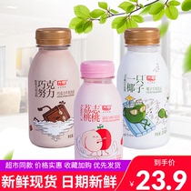 光明一只椰子250ml*8瓶椰奶巧克努力荔志桃桃风味牛奶儿童学生餐