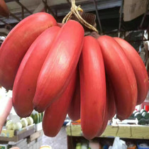 新鲜红皮香蕉美人蕉5斤小米蕉芭蕉当季水果粉蕉苹果蕉皇帝蕉大蕉