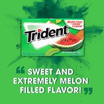 美国进口Trident三叉戟口香糖 西瓜水果味木糖醇无糖整盒12包