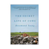 英文原版 The Secret Life of Cows 奶牛的秘密生活 有机农业 动物养殖与情感探索 Rosamund Young 英文版 进口英语原版书籍
