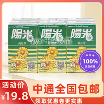 香港进口饮料 阳光菊花茶饮品250ml*6盒港版阳光饮品花草茶下午茶