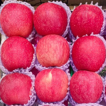 甘肃静宁红富士苹果脆甜水果新鲜当季整箱时令应季9斤精品大果子