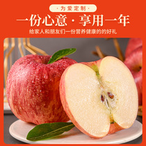 【每月1箱赠2件套】洛川苹果全年供12箱新鲜水果整箱顺丰包邮