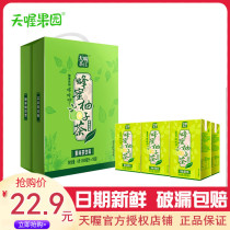 天喔茶庄蜂蜜柚子茶250mlx16盒 果味水红柚茶苹果蜜桃果味茶饮料