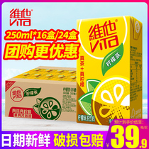 vita维他奶柠檬茶250ml*24盒16盒低糖锡兰冰爽气泡柠檬茶饮料包邮