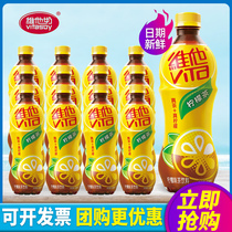 vita维他柠檬茶500ml*15瓶整箱包邮港式原味奶茶小瓶装柠檬茶饮料