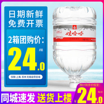 上海团购娃哈哈饮用纯净水14.8L5桶整箱包邮大桶装泡茶水特批价发