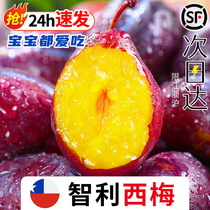 智利进口新鲜西梅5斤水果当季现摘时令孕妇脆甜李子鲜果整箱3包邮