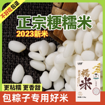 东北圆糯米新米包粽子的专用粘白江米2023年香型圆粒优质商用黏米