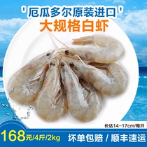 采极鲜进口厄瓜尔多白虾基围虾 冷冻野生南美白虾深海大对虾盒2kg