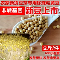 农家自种发豆芽黄豆生黄豆芽豆5专用黄豆2斤纳豆690珍珠粒1小金黄