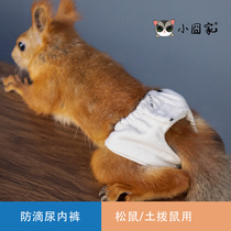 土拨鼠松鼠换洗尿布尿不湿外出用品训练衣服清洁吸水饲养用品玩具