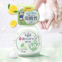日本进口花王碧柔泡沫洗手液家用免洗儿童宝宝可用 柑橘型 250ml