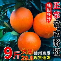 正宗江西赣南脐橙10斤橙子应当季水果新鲜赣州果冻手剥冰糖甜20斤