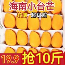海南小台农芒果新鲜现摘应当季热带水果特产鸡蛋芒整箱5/10斤包邮