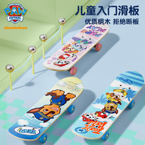 汪汪队儿童滑板初学者男童小滑板女孩双翘滑板玩具宝宝四轮滑板车