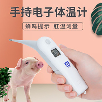 兽用电子测温仪猫咪狗狗宠物体温计猪牛羊养殖场专用肛门检测体温