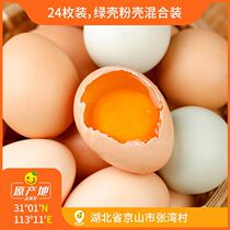 辰颐物语土鸡蛋农家散养谷物粉绿壳柴鸡蛋笨鸡蛋24枚产地新鲜鸡蛋