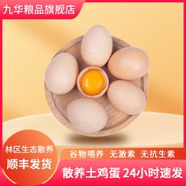 九华粮品散养土鸡蛋农家散养新鲜正宗草鸡蛋柴鸡蛋月子蛋批发整箱