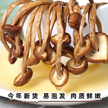 云南茶树菇干货干菌菇菌类菇类商用干食材大全农产品鹿茸菇姬松茸
