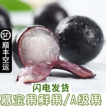 【顺丰空运】嘉宝果鲜果树葡萄加宝果新鲜孕妇热带稀奇古怪的水果