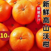 云南高山沃柑10斤新鲜水果橘子甜桔子整箱批发包邮蜜砂糖柑橘大果