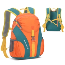 正品休闲登山徒步旅行尼龙多色户外包多功能户外运动双肩包学生包
