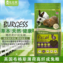 英国Burgess 布格斯薄荷高纤维成年兔粮2kg 天然膨化兔饲料 包邮
