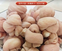 四川火锅食材半成品肥肠冒节子一件20斤口感独特汤汁浓郁饱满其它