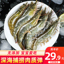 虾鲜活冷冻宝宝辅食青岛大虾对虾新鲜深海虾海鲜水产满3斤包邮