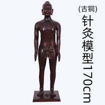 仿古铜制针灸铜人模型人体经络穴位铜人高175厘米铜像