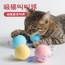 猫玩具自嗨引力叫叫球自动逗猫解闷神器小鸟蟋蟀叫声宠物用品包邮