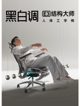黑白调新款节构大师人体工学椅家用多功能护腰久坐不累办公电竞椅