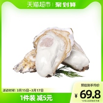 贝司令鲜活乳山生蚝新鲜牡蛎2XL净重4斤13-17个海鲜水产海蛎子