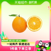 纽荷尔脐橙柑橘时令应季新鲜水果重庆湖北橙子柑子桔子整箱包邮